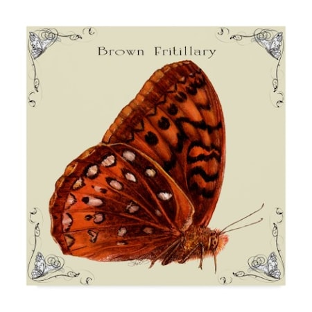 Sher Sester 'Butterfly Brown Fritillary' Canvas Art,18x18